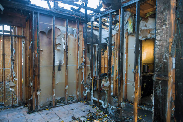 Professional Smoke Damage Removal technician working in Argyle, TX